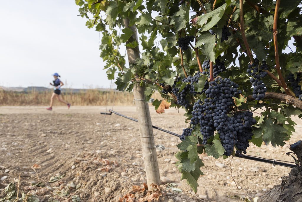 Ribera Run Experience